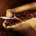 The Economics of Coffee: From Cherry to Cup