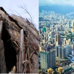 Income Inequality Across Nations: Why You Should Care