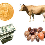 Evolution of Money: From Ivory Tusks to Heavy Metals