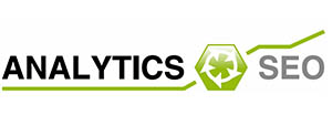 Analytics SEO