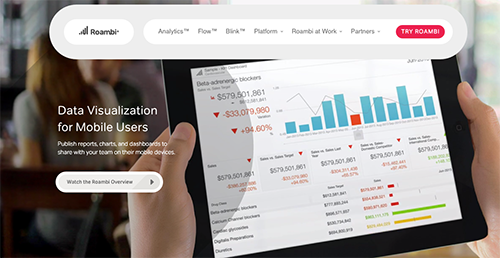 Roambi Reviews: Pricing & Software Features 2024 - Financesonline.com