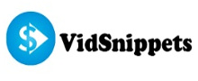 VidSnippets Web