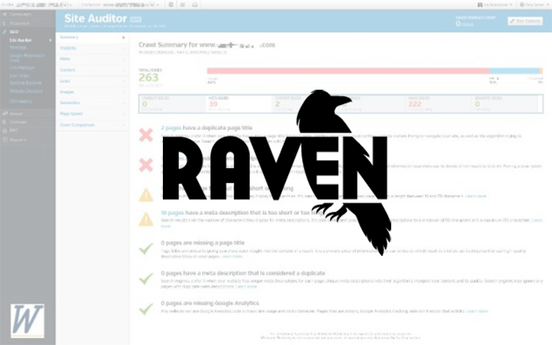 Top 10 Most Expensive Red Wines In The World Sauvignon Tops