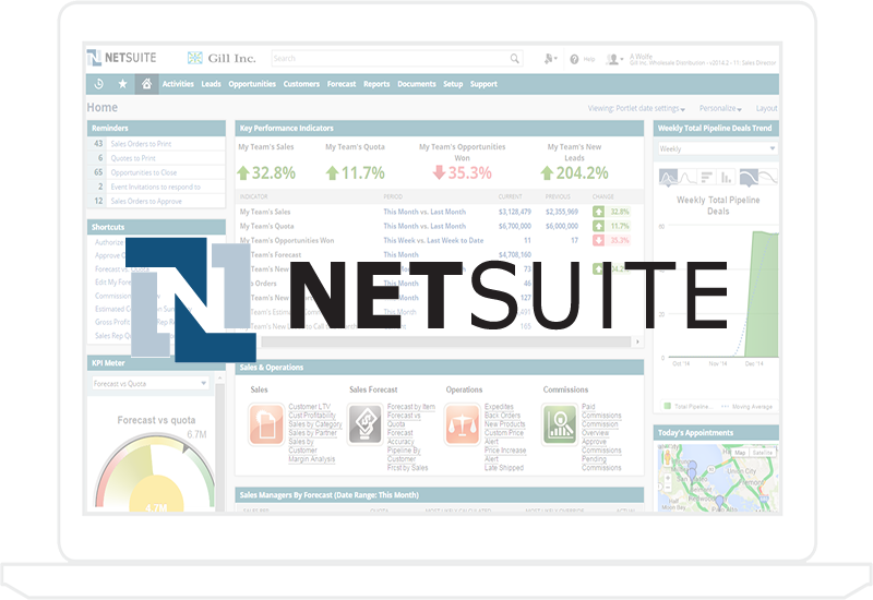 NetSuite P