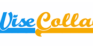 WiseCollab Alternative