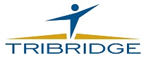 Tribridge Business Intelligence & Analytics