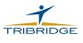 Tribridge Business Intelligence & Analytics Alternative