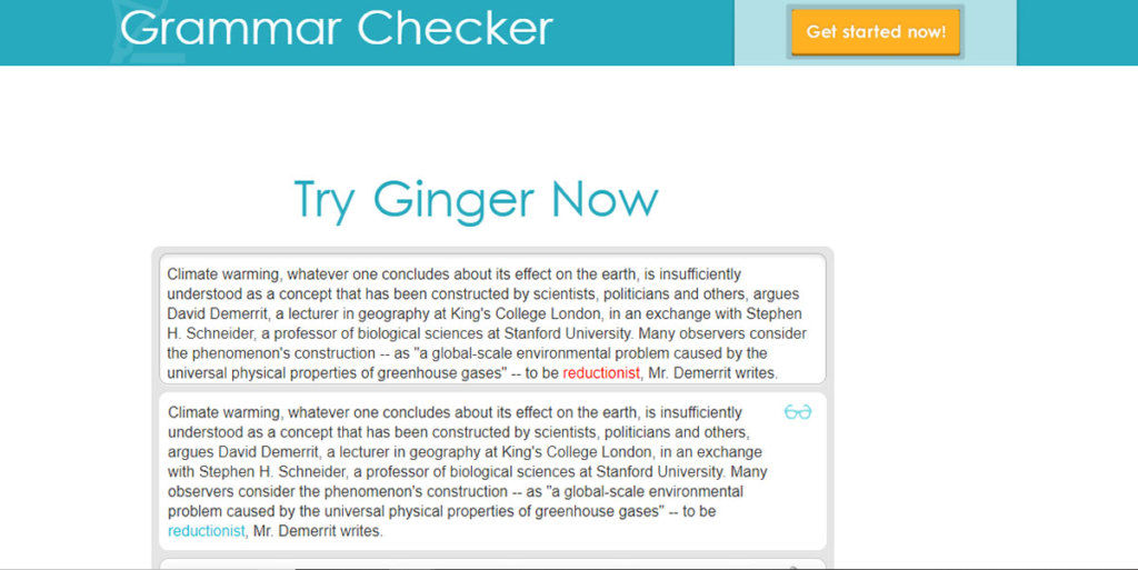 Ginger Software dashboard