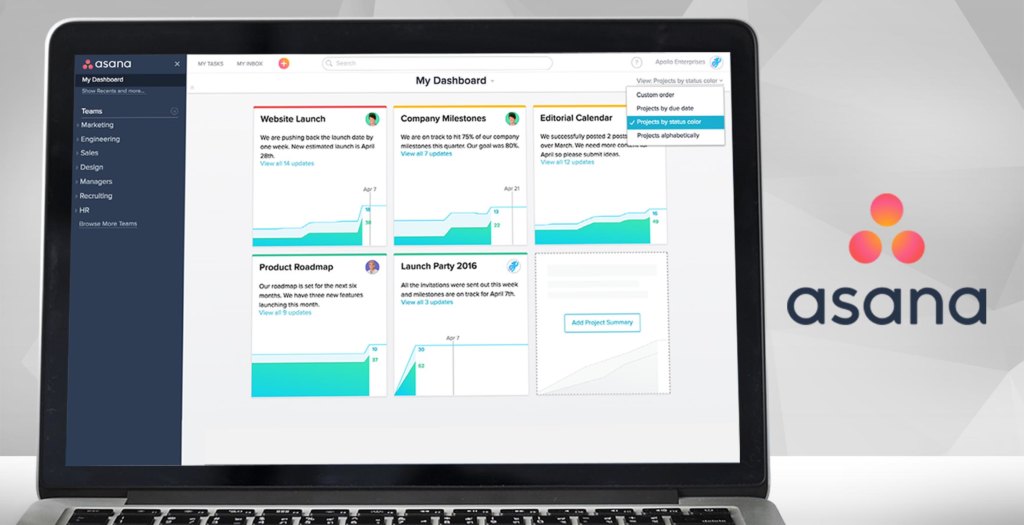 asana dashboard example