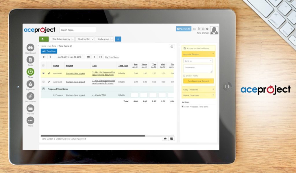 Ace project dashboard example