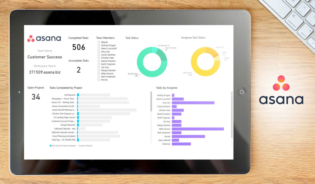 asana dashboard example