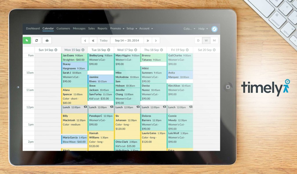 timely dashboard example