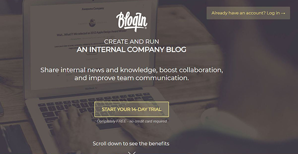 BlogIn Reviews: Pricing & Software Features 2024 - Financesonline.com