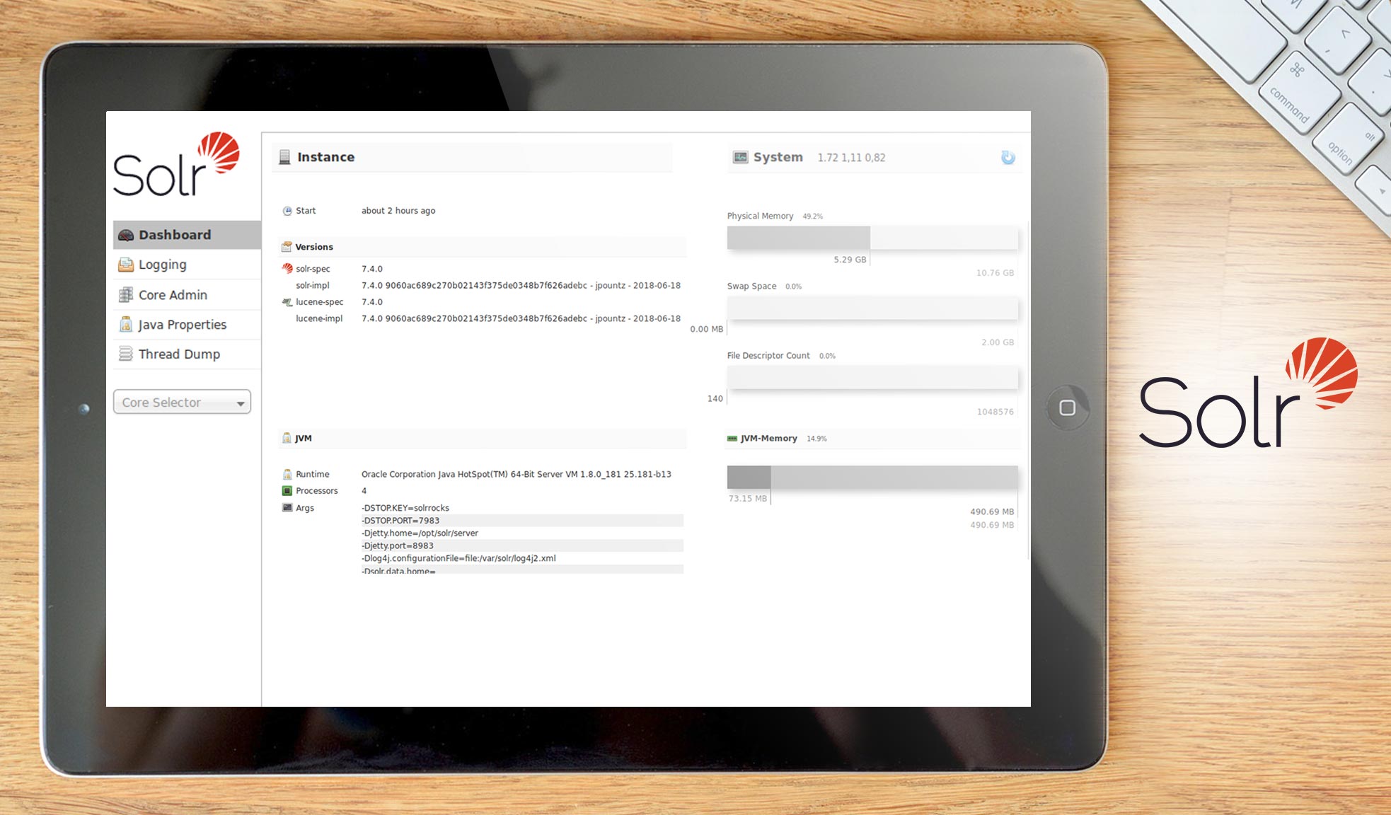 Apache SolR dashboard example