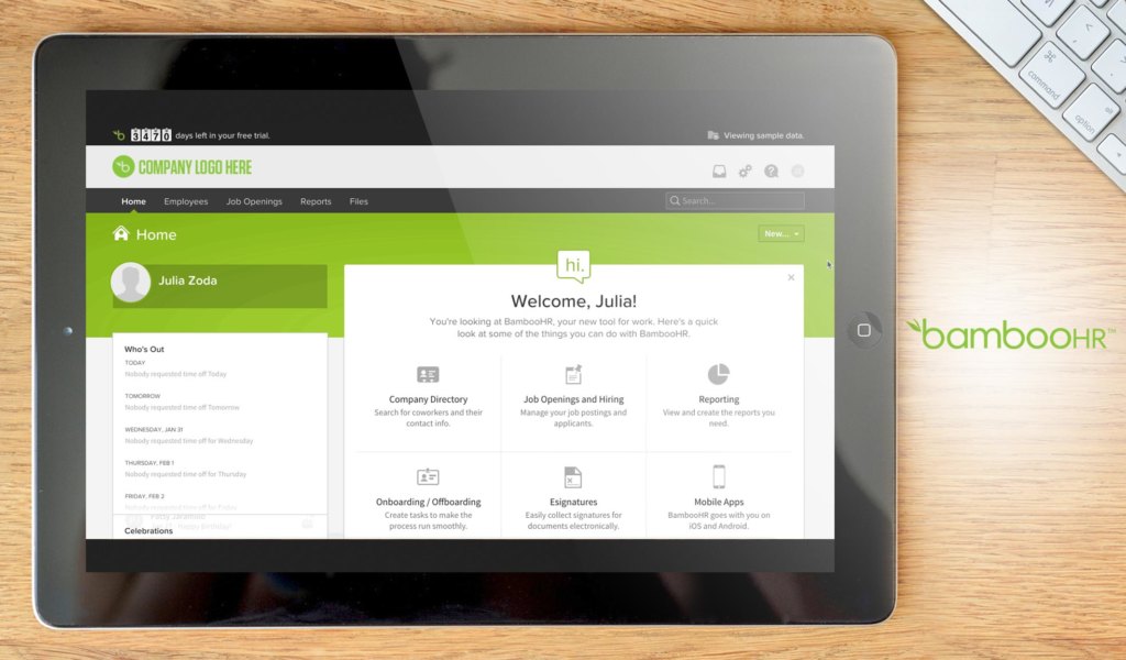 bamboohr dashboard example