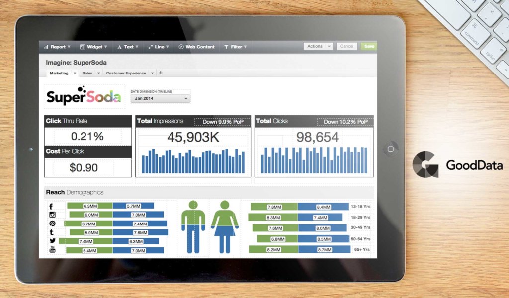 gooddata dashboard example