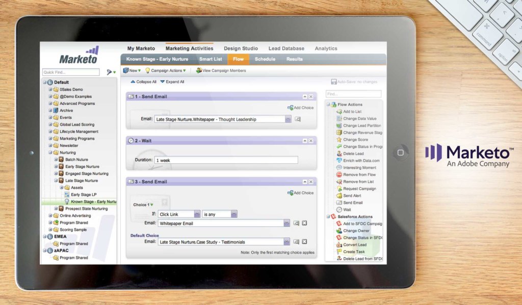 marketo dashboard example