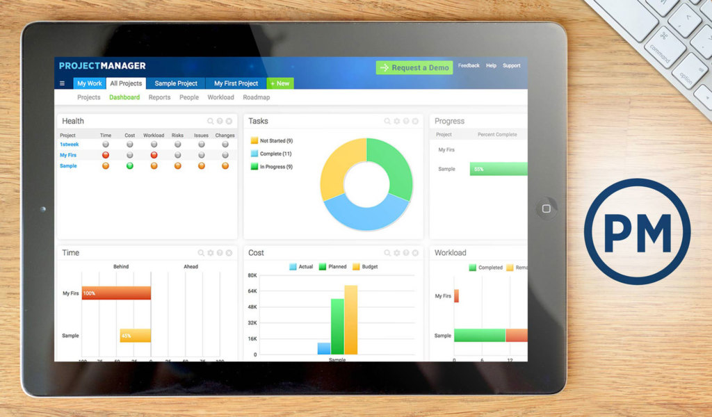 projectmanager dashboard example