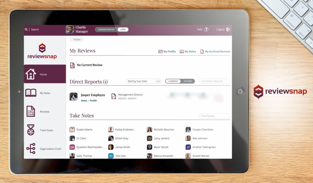 ReviewSnap Dashboard