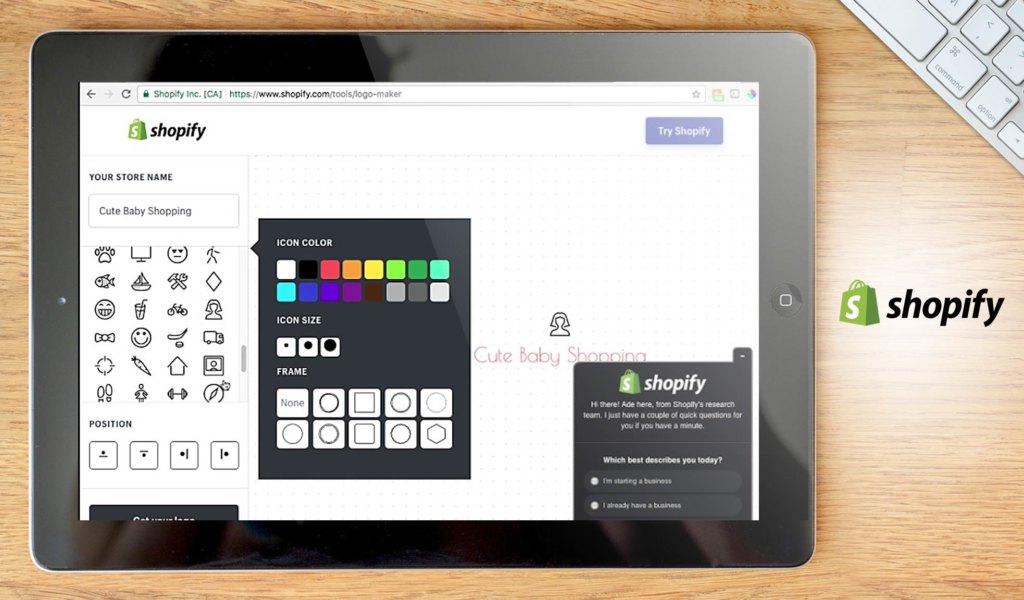 shopify dashboard example