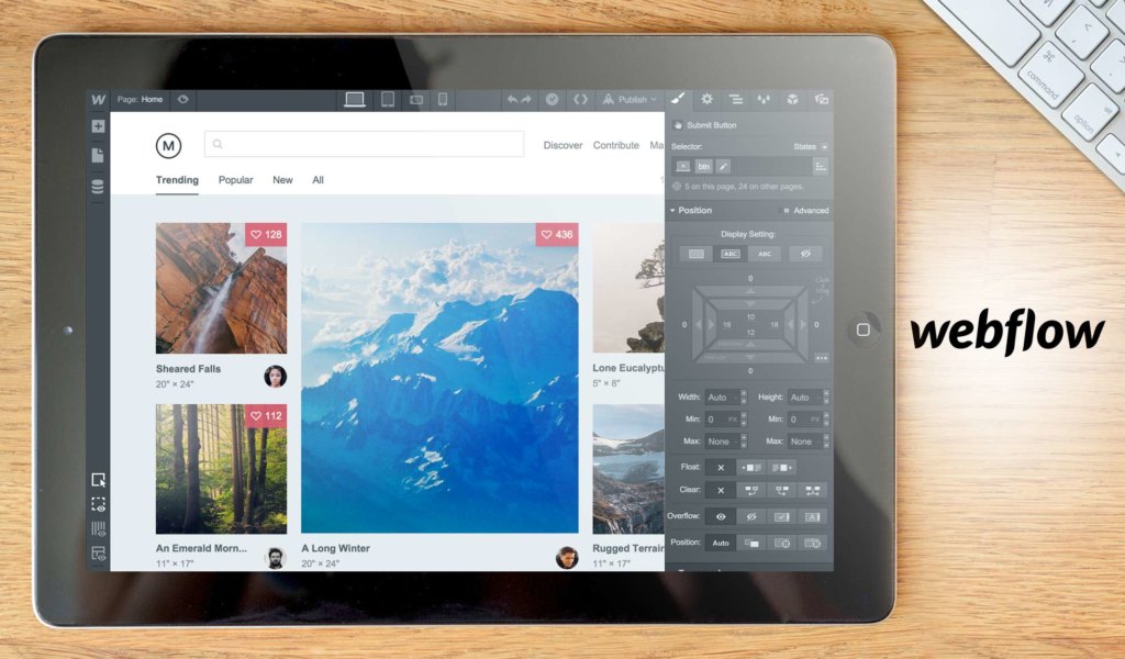 webflow dashboard example