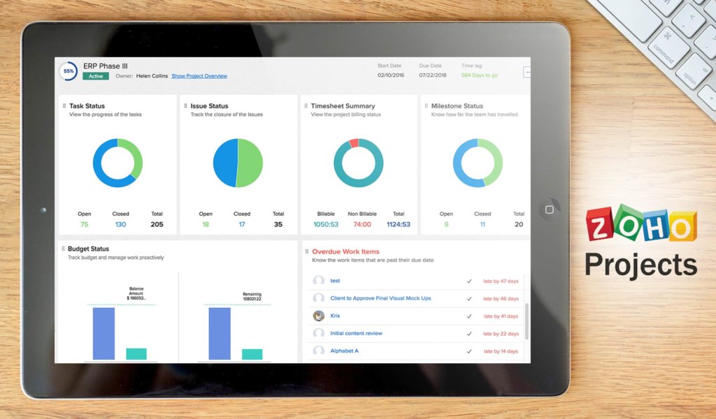 zoho projects dashboard example