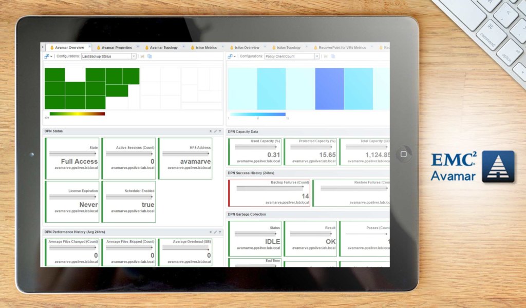 Avamar dashboard example
