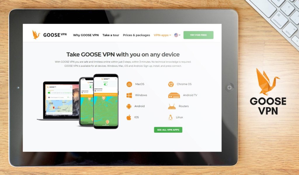 GooseVPN dashboard example