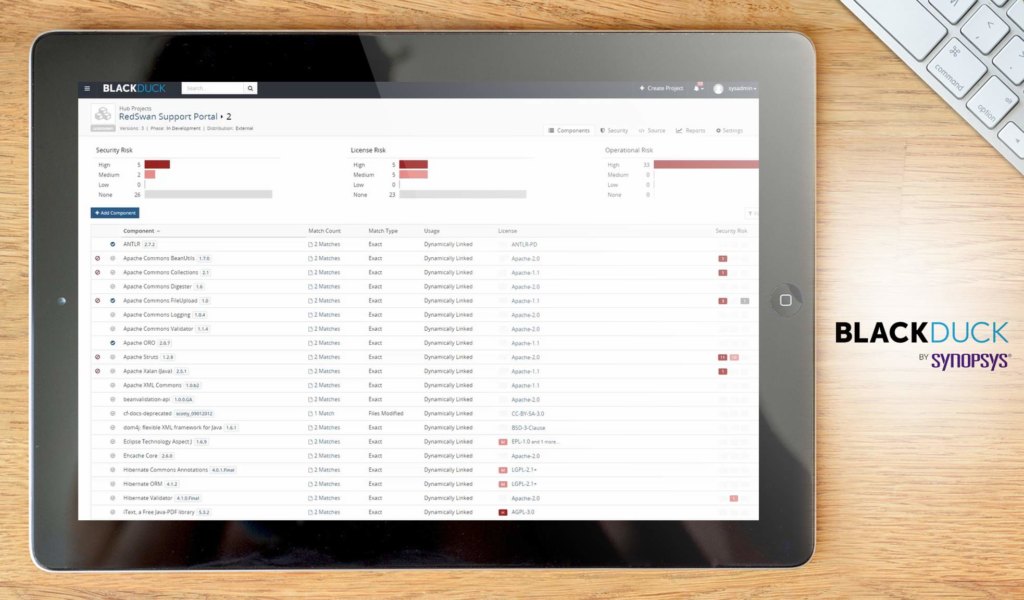 Black Duck Hub dashboard example
