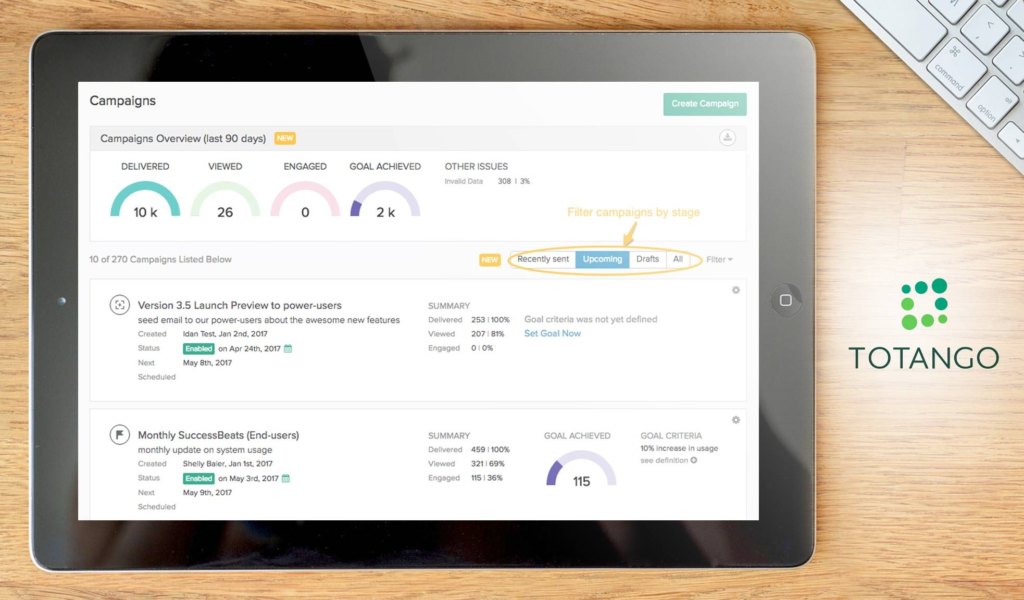 Totango dashboard example