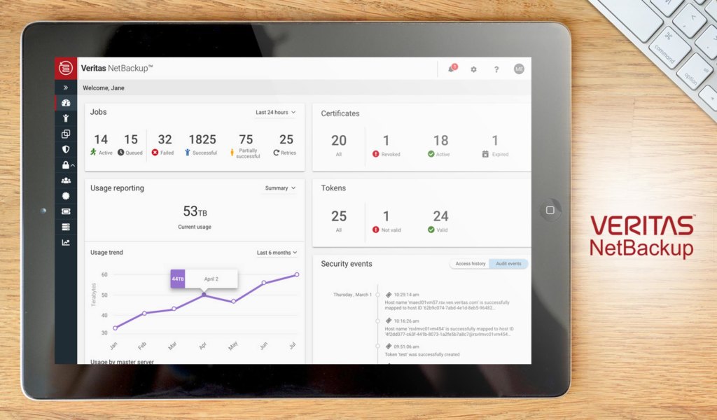Veritas NetBackup dashboard example