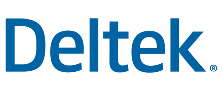 Deltek Vision