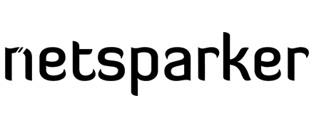 Netsparker