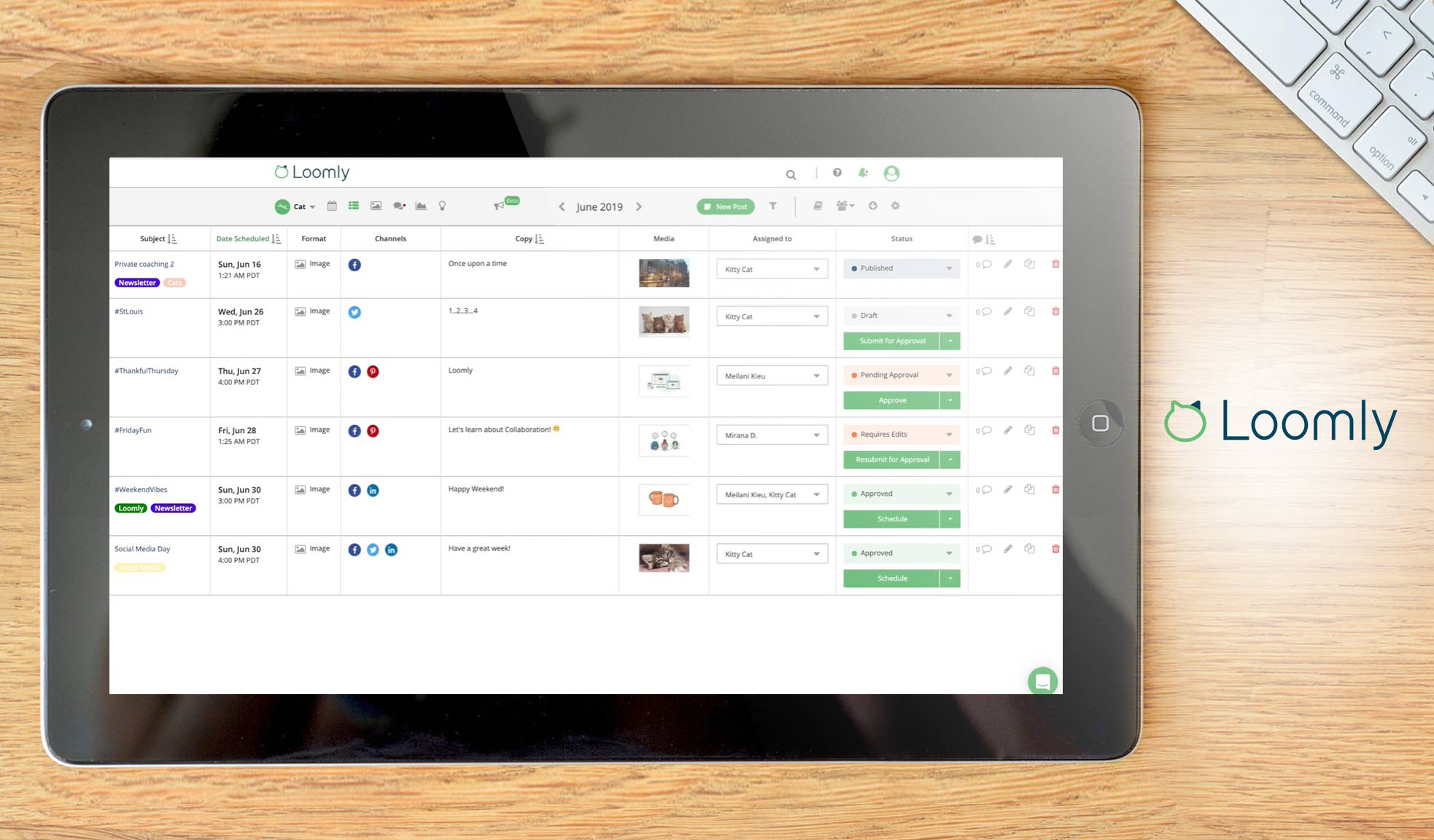 loomly dashboard example