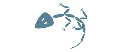 Fossil