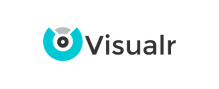 Visualr