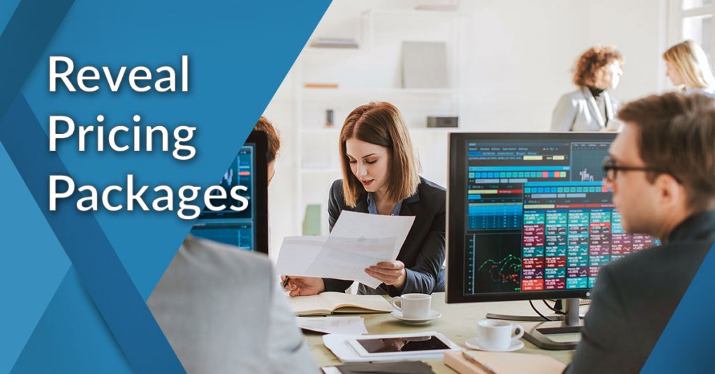 Reveal pricing packages