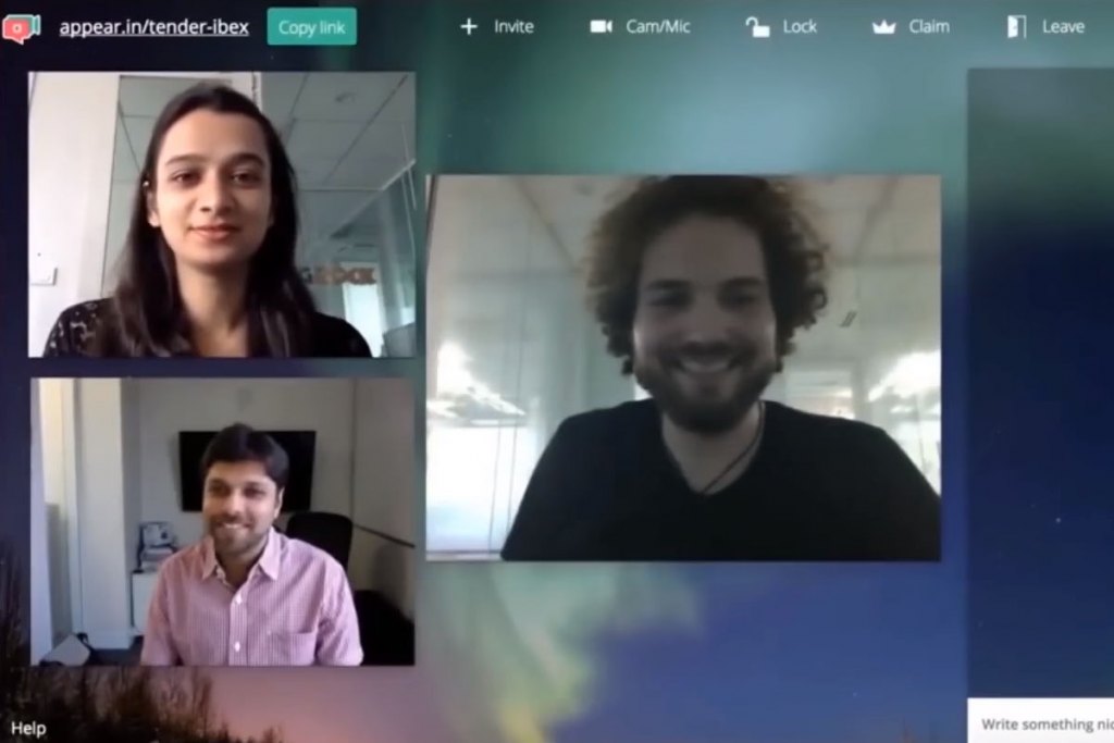 Flock video interface