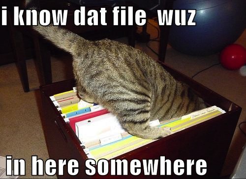 meme - document management Best Collaboration Tools for remote work