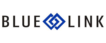 Blue Link ERP