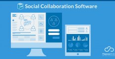 Best Social Collaboration Tools in 2025