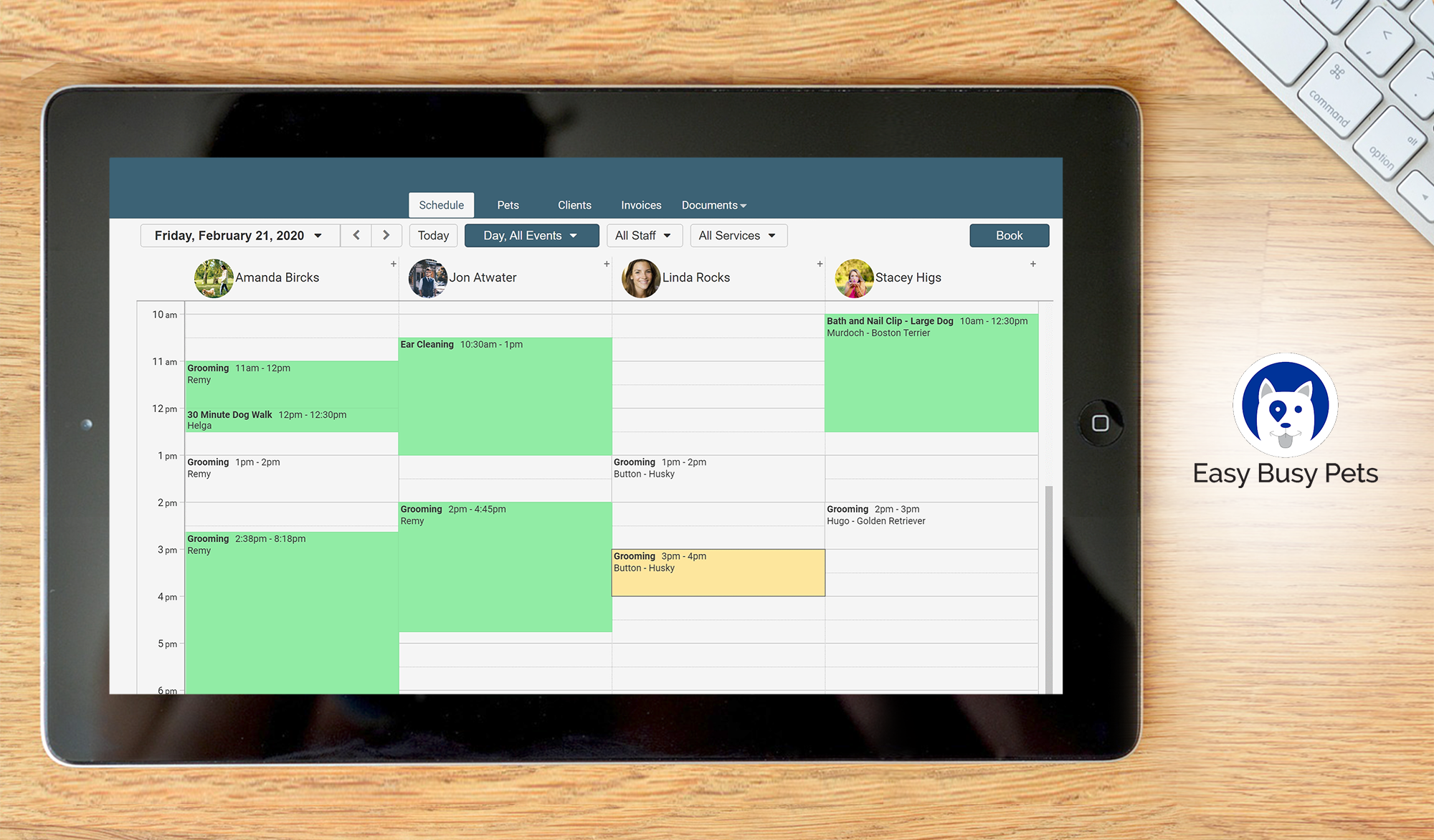 Easy Busy Pets dashboard