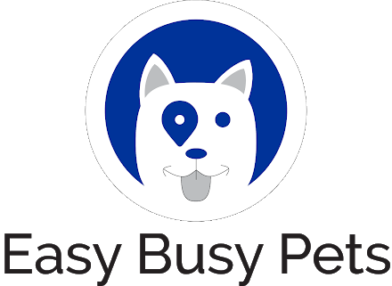 Easy Busy Pets
