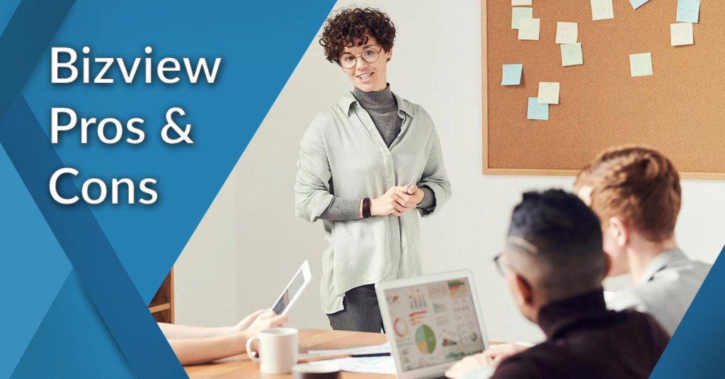 Bizview pros and cons