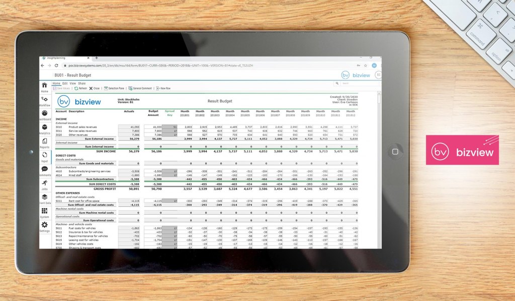 BizView dashboard
