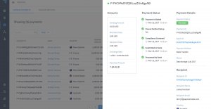 Payment Rails - screenshot 2