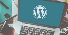 33 Key WordPress Websites Statistics: 2024 Data on Costs, Plugins & Themes