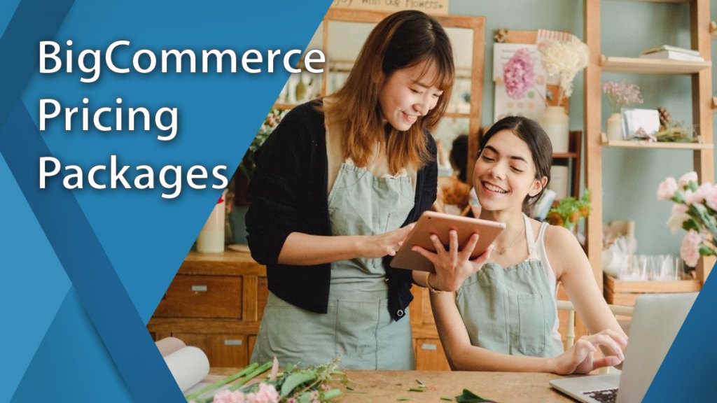 bigcommerce pricing packages