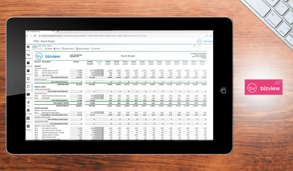 bizview dashboard