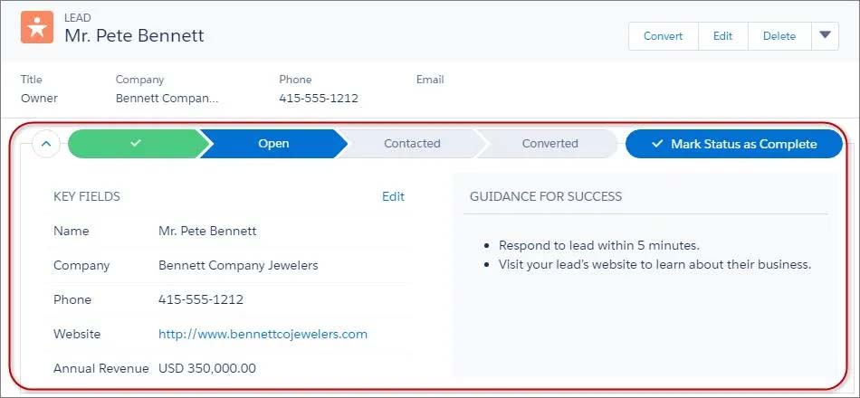 salesforce crm lead management